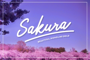 Sakura Bold Font Set Font Download