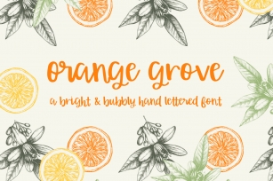 Orange Grove Script Font Download