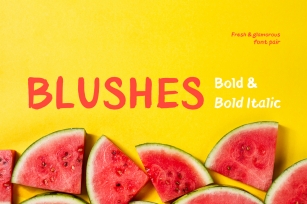 Blushes u2014 Bold & Bold Italic Font Download