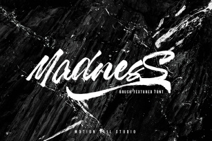 Madness Textured Brush Font Font Download