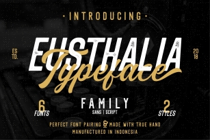 Eusthalia Font Family Font Download