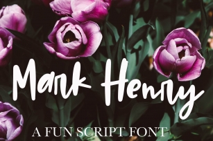Mark Henry - A thick signature font Font Download