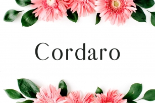 Cordaro Sans Serif Typeface Font Download