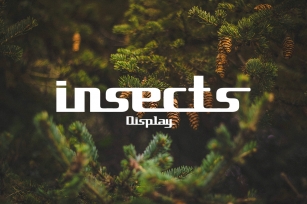 insects font Font Download