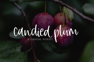 Candied Plum Font Download