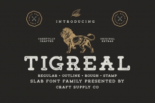 Tigreal Font Family BONUS Illustrations Font Download