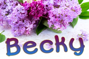 Becky Font Family Font Download