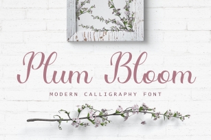 Plum Bloom - handwritten calligraphy font Font Download