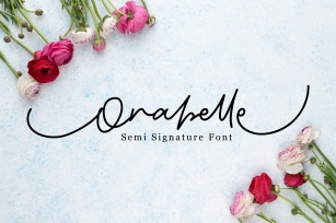 Orabelle Semi Signature Fonts Font Download