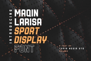 Maqin Larisa Display Font Download