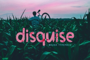 Disquise Brush Typeface Font Download