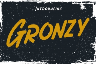 Gronzy - Brush Font Font Download
