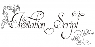 Invitation Script Pack (4 fonts) Font Download