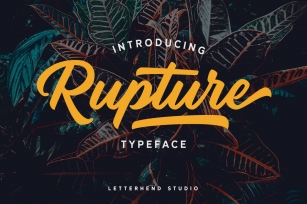 Rupture Typeface - Font Duo Font Download