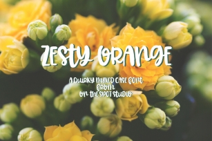 Zesty Orange Font Download