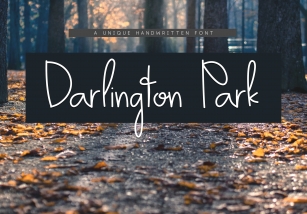 Darlington Park - Unique Handwritten Font Font Download