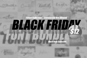 BLACK FRIDAY FONT BUNDLE $12 Font Download