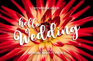Hello Wedding Font Download