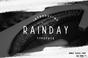 Rainday Typeface Font Font Download