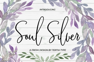 Soul Silver Font Download