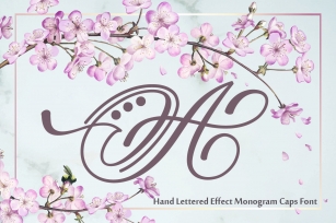Hand Lettered Effect Monogram Font Download