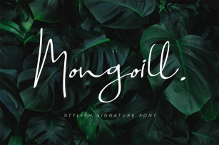 Mongoill - Stylish Signature Font Font Download
