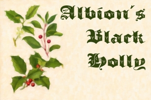 Albions Black Holly Font Download
