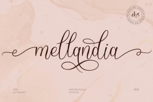 Mellandia VN - Modern Script Font Font Download