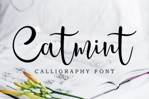 Catmint - handwritten calligraphy font Font Download