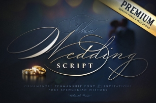 The Wedding Script & Invitation set Font Download