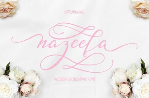 Nazeefa Script Font ( February Sale ) Font Download