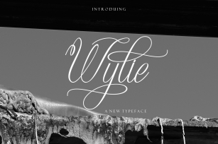 Wylie Font Download