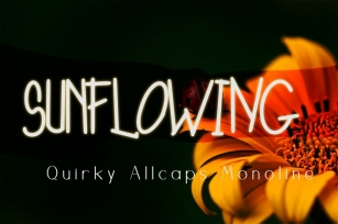 Sunflowing Quirky Monoline Font Font Download