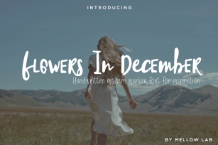 Flowers In December Font Duo Font Download