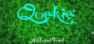 QUEKIE Natural Font Font Download