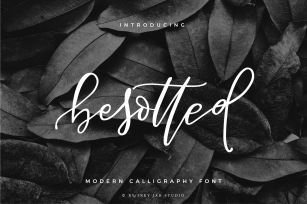 Besotted Modern Calligraphy Script Font Download