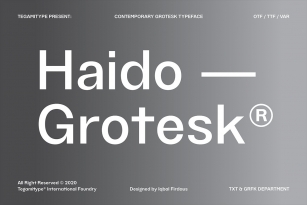 TG Haido Grotesk – Save 70% OFF Font Download