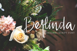 Berlinda - Handwritten Font Font Download