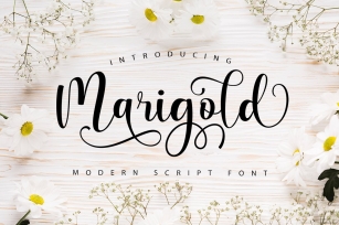 Marigold Script Font Download