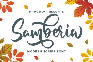 Samberia a Modern Script Font Font Download