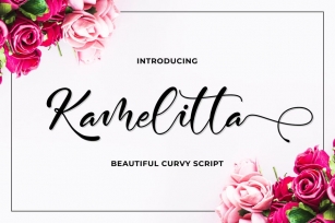 Kamelitta - Beautiful Script Font Download