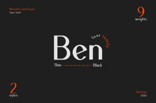 Ben - Elegant Font Family Font Download
