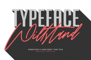 Willstand Font Duo Signature Sans Typeface Font Download