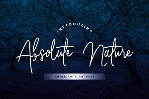 Absolute Nature Handwritten Script Font Font Download