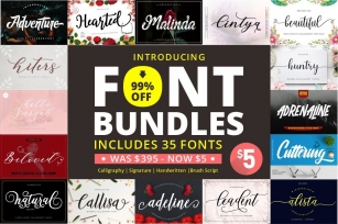 ALL-YOU-NEED BUNDLE Font Download