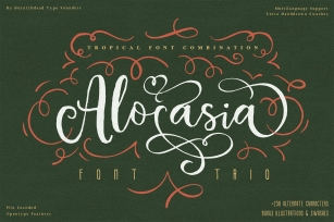 Alocasia-Trio Font Combination Font Download