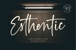 Esthentic a Handwritten Script Font Font Download