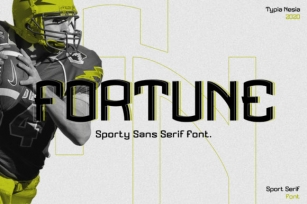 Fortune Font Download