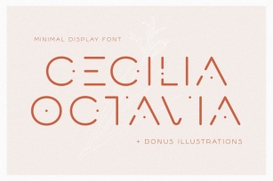 Cecilia Octavia - Minimal Sans Serif Font Download