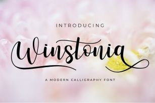 Winstonia | A Modern Calligraphy Font Font Download